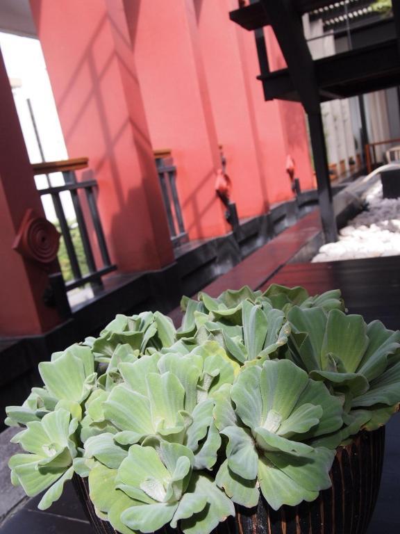 Loogchoob Homestay Bangkok Eksteriør billede